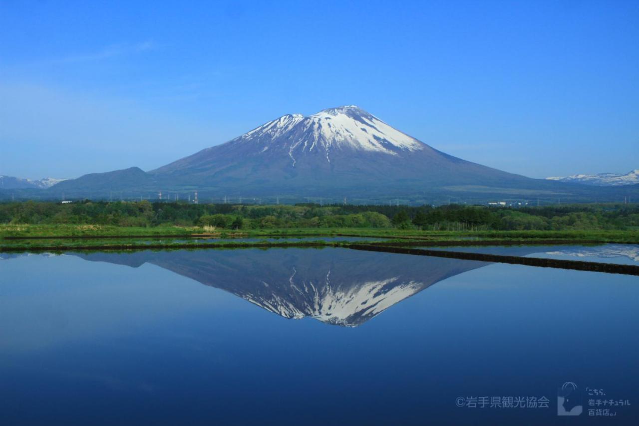 Art 盛冈